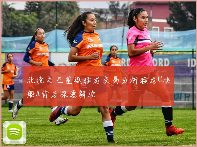 北境之王重返猛龙交易分析猛龙C快船A背后深意解读