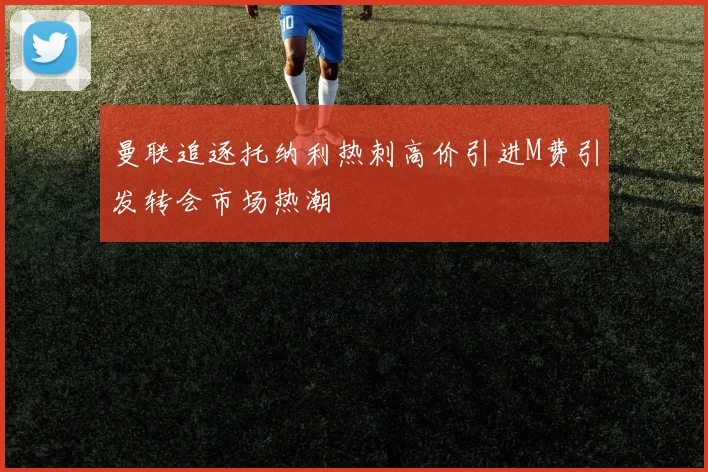 曼联追逐托纳利热刺高价引进M费引发转会市场热潮